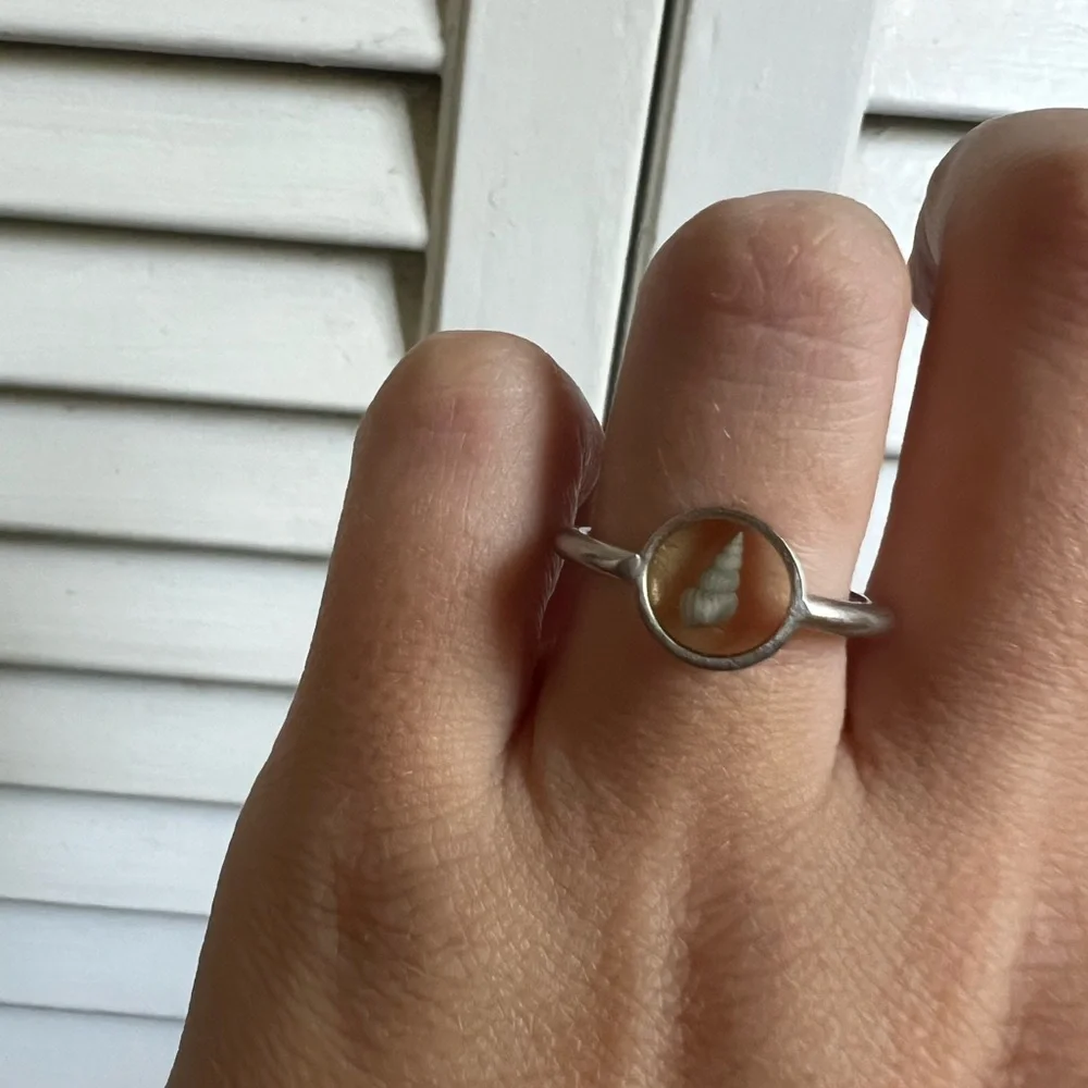 Shell ring - Picture 2 of 2